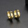Brincos Jinse Shuyi Casuais Estilo Coreano Pequenos Brincos Femininos Brincos Banquete Personalizados Joias de Orelha Presentes