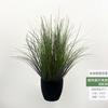 Simulação Reed Artificial Reed Grass Atacado Planta Falsa Shopping Decoração para Casa Cebola Dog Tail Grass Simulação Planta Verde