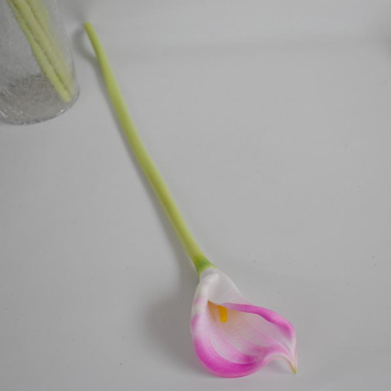 大马蹄粉色