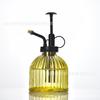 Regadera de vidrio transparente transfronteriza de color para escritorio, rociadora de plantas verdes carnosas, herramientas de riego para jardinería, adornos al por mayor
