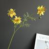 Simulado Flor Selvagem Margarida Camomila Grama Preta Fornecimento Internacional Modelo de Casa Decoração de Quarto Adereços para Fotos Atacado