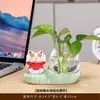 Enfeite de gatinho fofo, vaso hidropônico de gato da sorte, presente cultural de escritório de nicho de alta qualidade para desktop, vaso de planta