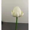Folha de Lótus Atacado Dança Galho Longo com Haste Decoração de Folha de Lótus Adereços para Piscina Adereços de Performance Metabo Metabo