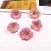 Flores artificiales pequeñas, flores de cosmos, materiales para cabeza de flor de pasador DIY, arreglos florales de boda, artículos decorativos, accesorios para caja de regalo de ropa, cabezas de flor