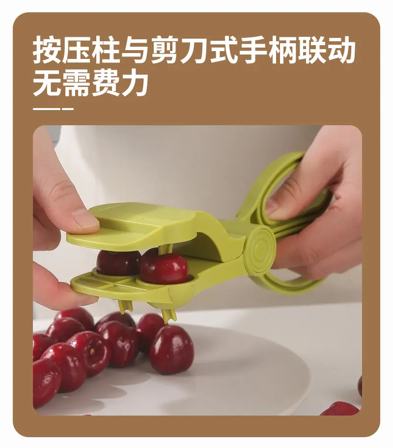 樱桃去核器_08