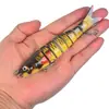 Isca de Pesca Articulada de 8 Seções, Isca Segmentada Biomimética, Tipo Afundante para Arremesso de Longa Distância, Pesca em Água Doce e Salgada para Lucio e Robalo