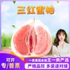 Selección Premium Pomelo Miel Guanxi de Pinghe, Fujian, 5 / 4.5 kg por caja, empacado en caja de regalo, fruta fresca de temporada agridulce
