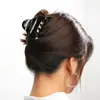Alian estilo coreano estilo ins simples moda presilha joia acetato presilha de cabelo grande presilha de rabo de cavalo adulto adorno de cabelo para coque