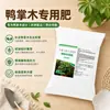 Fertilizante Especial para Madeira Pata de Pato Fertilizante Orgânico Probiótico Grânulos Promotores de Raiz Fertilizante de Liberação Lenta Suplemento Nutricional Promotor de Flores Fertilizante Solúvel em Água