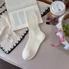 Calcetines de Nuevo Estilo Otoño Temprano 2026 para Mujer Color Sólido Algodón Hueco Transpirable Estilo Coreano Calcetines para Mujer