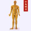 Modelo de acupuntura humana ultra claro de 85 cm, modelo visceral de hueso semimuscular, modelo de bronce de punto de acupuntura meridiano de medicina tradicional china