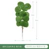 Hojas artificiales de eucalipto, adornos florales transfronterizos para mesa, hojas decorativas de eucalipto, eucalipto de imitación con un solo fruto.