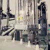 Máquina de llenado automático cuantitativo de polvo de Dendrobium de 300 g Máquina de llenado de polvo de colágeno de 500 g Llenado de polvo de 0,3 g