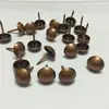 Clavos tapiceros suaves y duros, tachuelas de cobre, tachuelas antiguas, tachuelas decorativas, tachuelas para puertas, tachuelas para sofás, tachuelas de cabeza redonda, tachuelas de cabeza grande, remaches, tachuelas para tambores, chinchetas