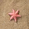 Micro-paisaje Creativo Realista Estrellas de Mar de Colores Acuario Marino Paisajismo DIY Accesorios Decorativos Eco-botella Pequeños Adornos