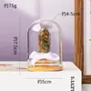Columna de Cristal Natural Transfronteriza Flor Eterna Adorno de Tapa de Vidrio Prisma Hexagonal de Cristal Hecho a Mano DIY Flor Seca Regalo Creativo