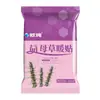 DropshippingOupure Adesivo Térmico de Erva-de-São-João, Adesivo Térmico de Artemísia, Oupure Adesivo Térmico de Gengibre, 10 Adesivos