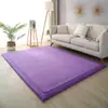 Alfombra Gruesa de Coral Fleece de 3 cm para Sala de Estar, Alfombrilla Moderna Simple para Piso junto a la Cama del Dormitorio, Alfombra para Sofá, Alfombrilla Tatami