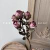 5 Bubble Rose Multi-cabeça Pequena Rosa Retro Coked Edge Rosa Imitação Flor Seca Casa Sala de Estar Floral Mesa de Jantar Flor Falsa