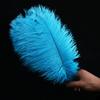 Directo de fábrica 35-40 cm pluma de avestruz actuación en escenario color pluma grande diy decoración de boda flor avestruz