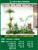 Paisagismo de Planta Artificial Varanda Arranjo de Paisagem Escada Interna Sob Árvore de Flores Artificiais Decoração Biomórfica Planta Verde Paisagismo Combinação