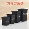 Olla Universal Cuadrada Engrosada Escarchada Calibre Grande Bola de Jade Rocío Florero para Suculentas Plástico Doce Rollos Espécimen Viejo Maceta Alta