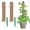 Pilar de Musgo para Plantas Suporte para Plantas Envasadas Internas Pilar de Casca de Coco Estaca para Crescimento de Plantas Trepadeiras Pothos Estilo Removível