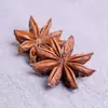 Anís Estrella de Guangxi, Semilla de Anís, Stock Nuevo, Condimento de Anís, Ingredientes Domésticos y Comerciales, Venta al por Mayor y Distribución