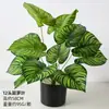 Folhas de Plantas Artificiais, Plantas Verdes em Vasos, Palmeira Ráfis, Folhas de Costela-de-Adão, Materiais para Decoração de Parede com Plantas, Plantas Verdes Coladas, Folhas Persas