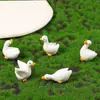 Musgo Micro-Paisaje Creativo Lindo Pato Blanco Patito Amarillo Figura Decoración Miniatura Mini Adorno de Escritorio
