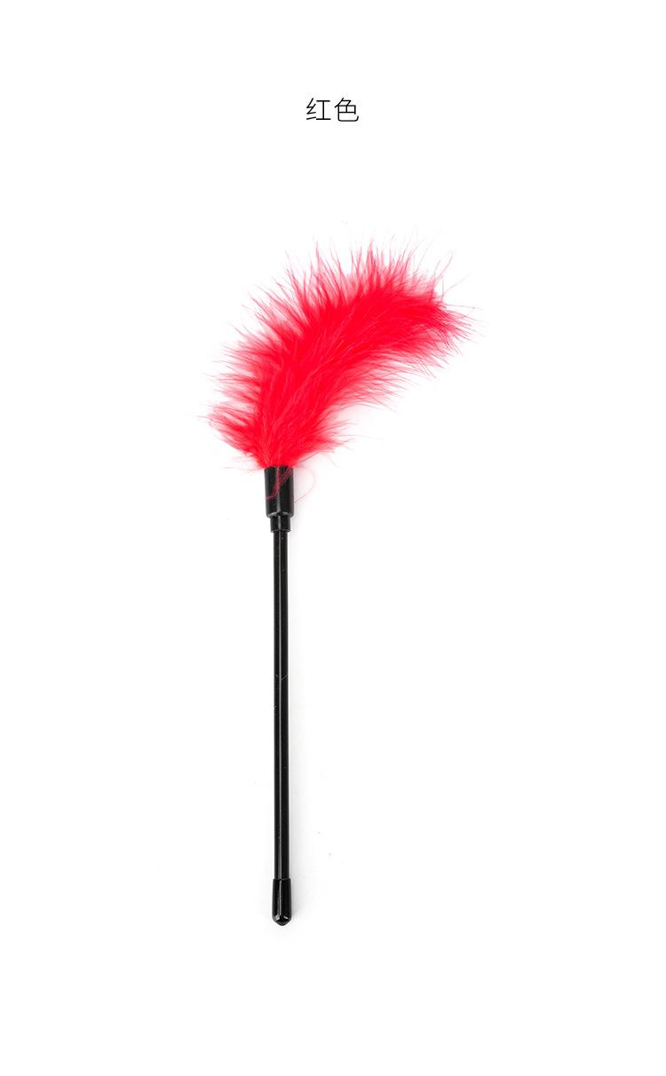Z437 (10).jpg