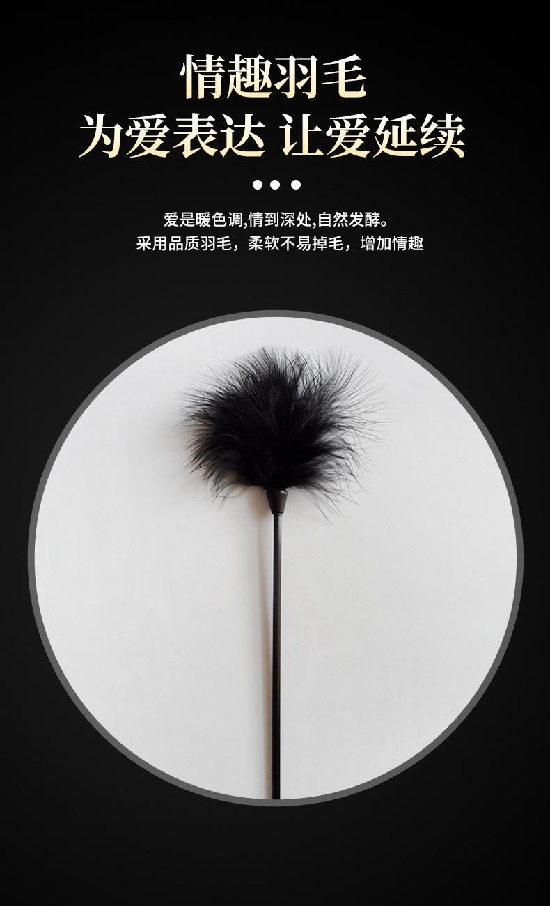 描述图_5.jpg