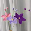 Flor de Phalaenopsis Transfronteriza Regalo de San Valentín Flor Hecha a Mano Flor de Lana Flor Tejida Terminada Venta al por Mayor Flor Tejida Crochet Simulación