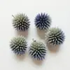 Materiais de Flores Secas Galhos Bolotas Pinhas Algodão Vagens de Lótus Jardim de Infância Artesanato Velas Aromáticas Fatias Decoração Adereços para Fotos