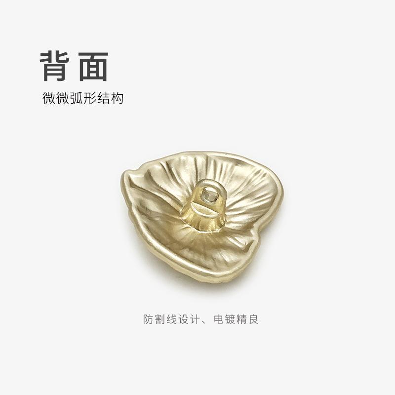 背面、颜色