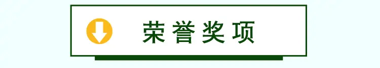 荣誉展示