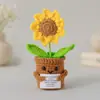 Vaso de planta de crochê à mão com fio transfronteiriço, tricô criativo, vaso de Natal, mini adorno fofo para mesa