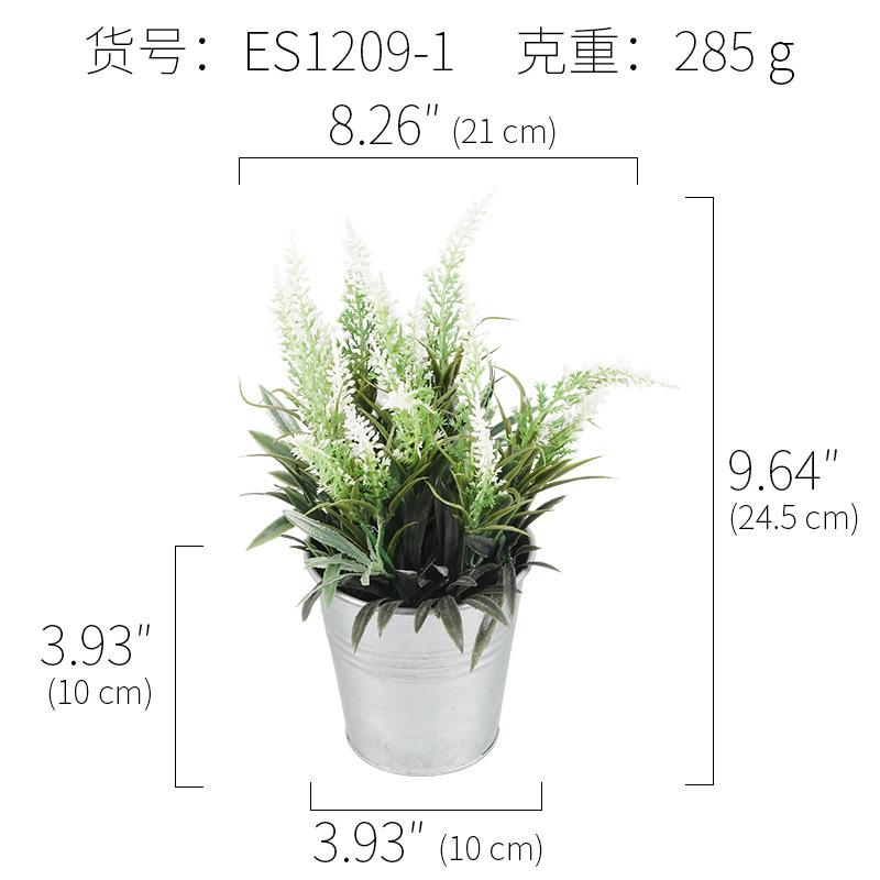 ES1209-1.jpg