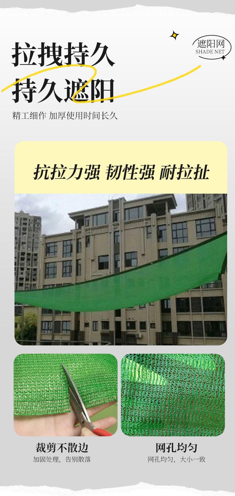 升级加密绿色_10