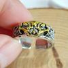 Anillo Bestia Tragadora de Oro para Hombre Simple Retro Dominante Diseño de Nicho Estilo Antiguo Apertura de Alta Gama Anillo Ajustable