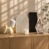 Conjunto de decoração de entrada de cachorro balão moderno simples, decoração de casa para sala de estar com ambiente de alta qualidade