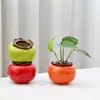 Shishi Ruyi Cerámica Fruta Artificial Caqui Tarro de Té Polvo de Bálsamo Dulces de Boda Contenedor de Velas Dulces de Boda Hidroponía