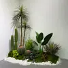 Cactos e Suculentas Artificiais Atacado para Paisagismo, Paisagens com Plantas Falsas Tropicais e Desérticas
