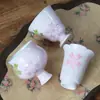 Taza de Té Maestra Quemada Youtian Pintada a Mano Polvo Suave Taza Individual Cerámica para el Hogar Alto Valor de Color Personal Especial Juego de Té Kung Fu