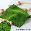 Grama de Musgo Biónica Artificial Musgo Falso Micro Paisagismo Decoração Gramado Bonsai Plantado em Vaso Pavimentação Paisagismo