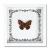 Espécime de Borboleta Real Decoração de Casa DIY Moldura de Madeira para Fotos Suprimentos de Pintura Decorativa Avançada Presente Moderno Presente Criativo