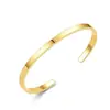 Pulseira Fashion de Aço Titânio para Mulheres, Popular na Europa e América, Pulseira de Casal de Zircônia de Alto Padrão Microincrustada, Joia de Venda Quente Transfronteiriça