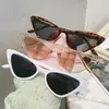Novos Óculos de Sol Femininos Transfronteiriços Moda Olho de Gato INS Moda Óculos de Sol Moda Proteção Solar