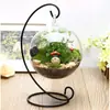 Nuevo Jarrón de Vidrio Transparente Colgante Contenedor Micro Paisaje Suculenta Bola Colgante Abierta Florero Hidropónico Creativo