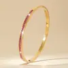 Pulseras Populares Europeas y Americanas de Acero de Titanio para Mujer, Pulseras de Acero Inoxidable, Pulseras Incrustadas con Diamantes, No se Desvanecen, Joyería de Mano Completamente Diamantada al por Mayor